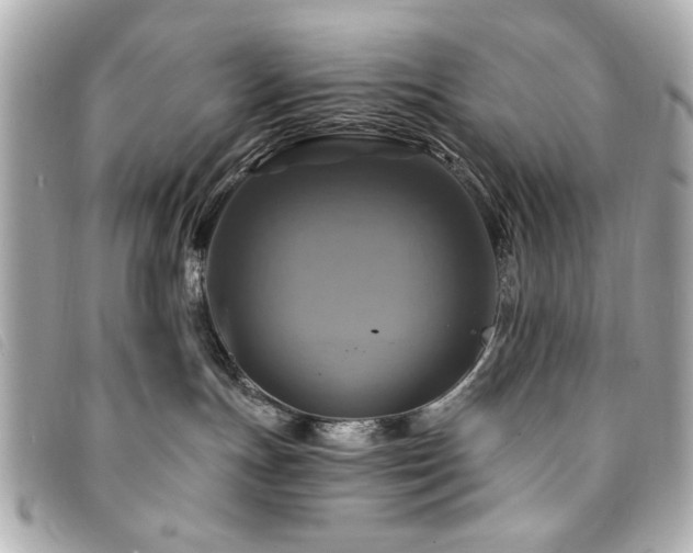 X0000094210191200710261218