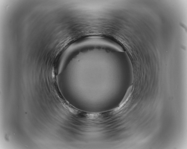 X0000094210192200710261218