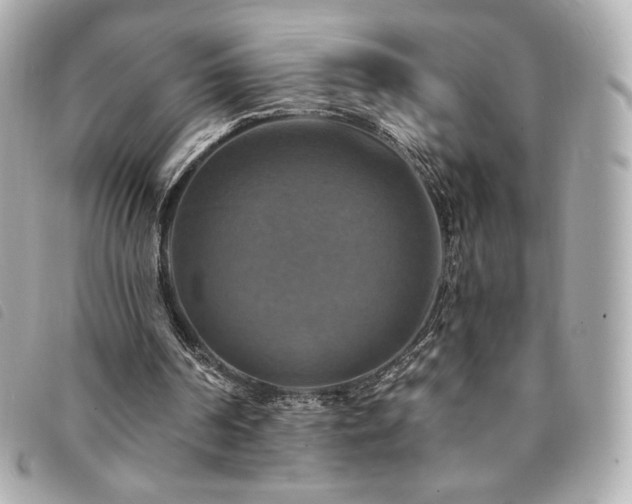 X0000094210194200710261217