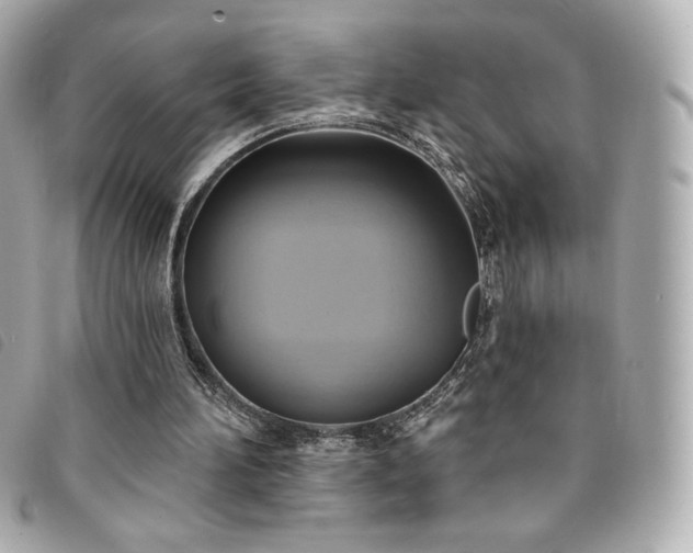 X0000094210196200710261217