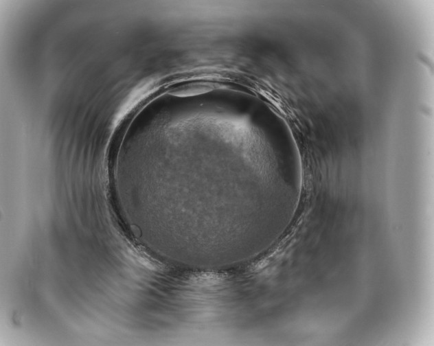 X0000094210198200710261217