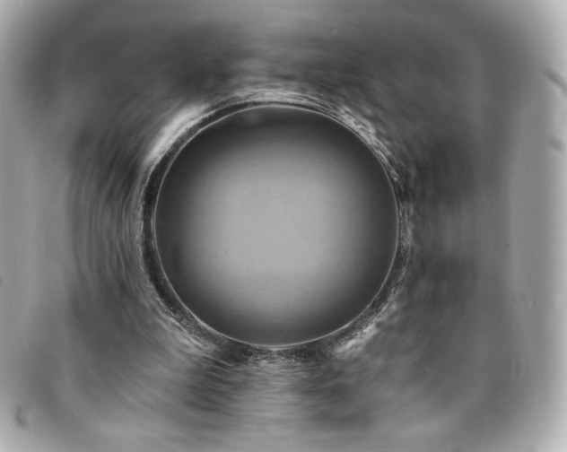 X0000094210199200710261217