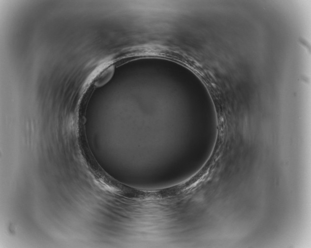 X0000094210200200710261217