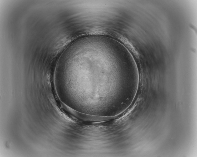 X0000094210201200710261217