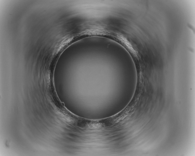 X0000094210202200710261217