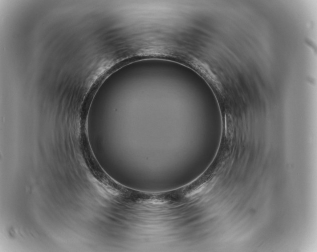 X0000094210204200710261217