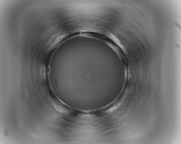 X0000094210205200710261217