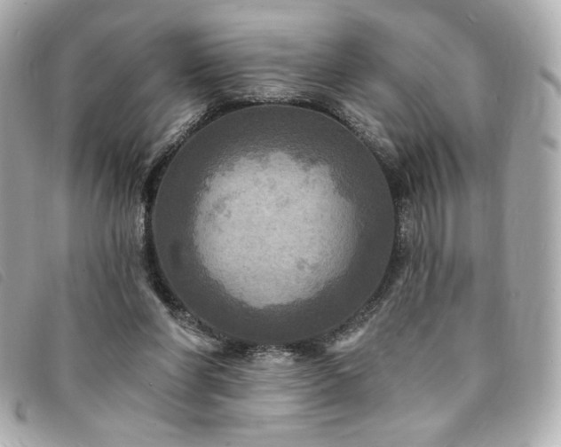 X0000094210206200710261217