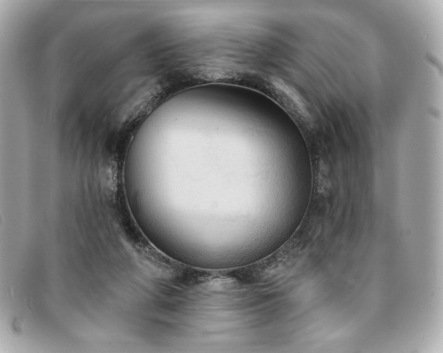 X0000094210210200710261217