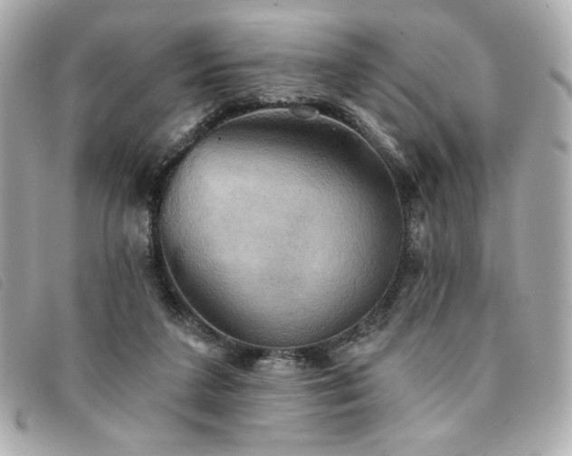 X0000094210211200710261217