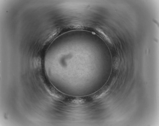 X0000094210213200710261217