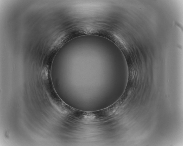 X0000094210214200710261217