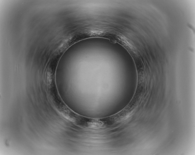 X0000094210215200710261217
