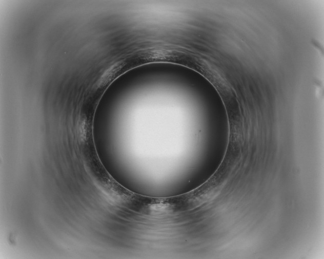 X0000094210216200710261217