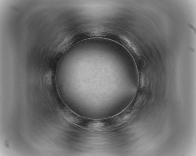 X0000094210217200710261217