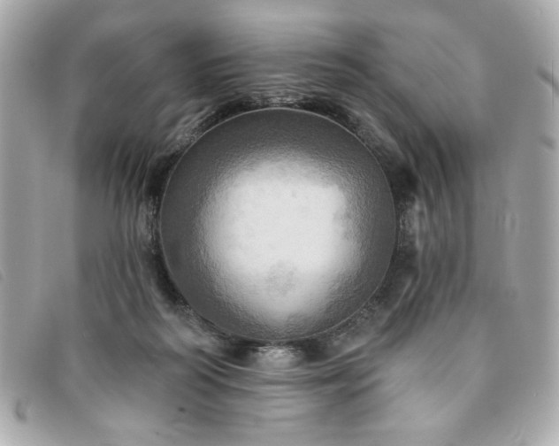 X0000094210218200710261217