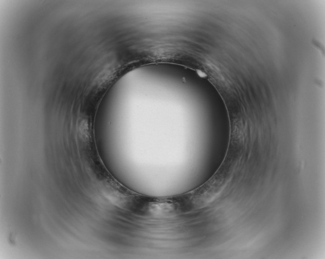X0000094210220200710261217