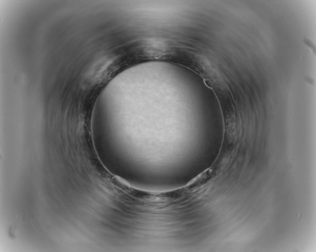 X0000094210221200710261217