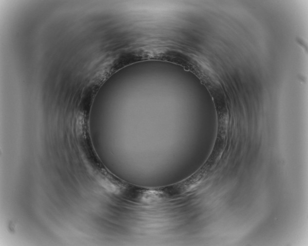 X0000094210222200710261217