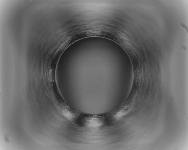 X0000094210224200710261217