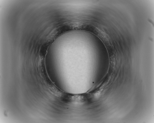 X0000094210225200710261217