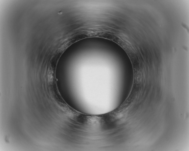 X0000094210226200710261217