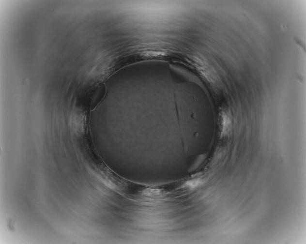 X0000094210227200710261217