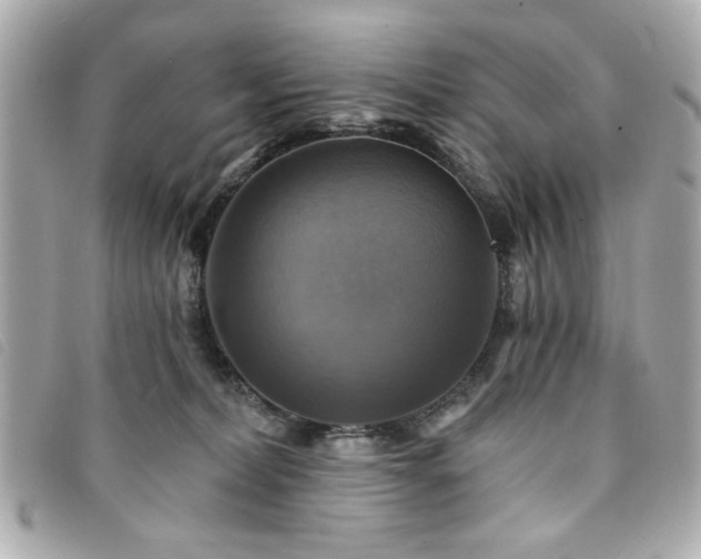 X0000094210228200710261217