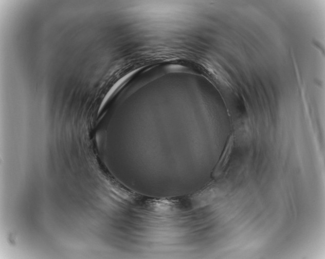 X0000094210229200710261217