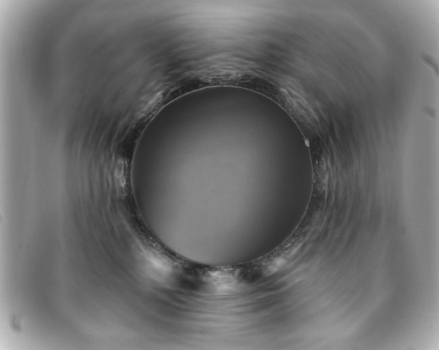 X0000094210232200710261217