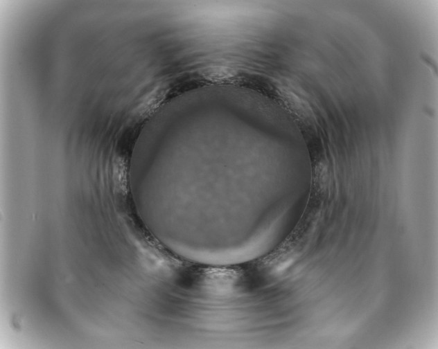 X0000094210234200710261217