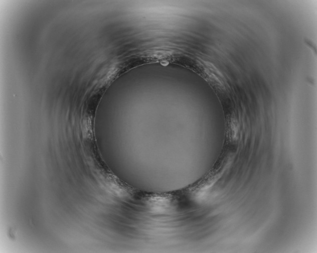 X0000094210236200710261217