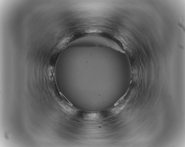 X0000094210237200710261217