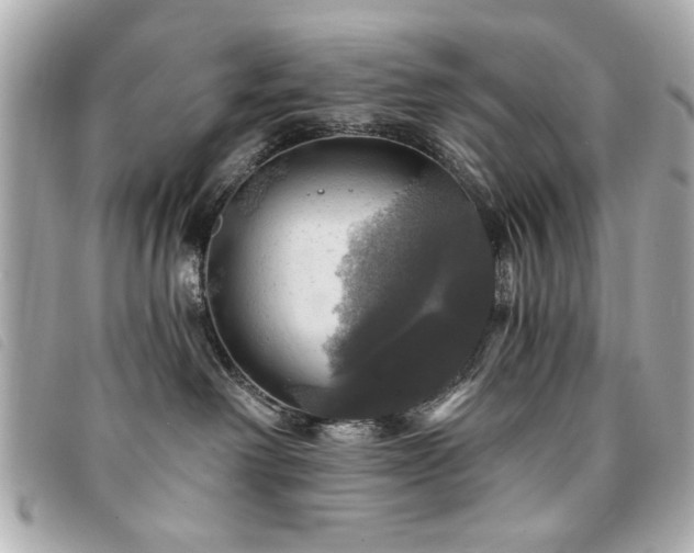 X0000094210238200710261217