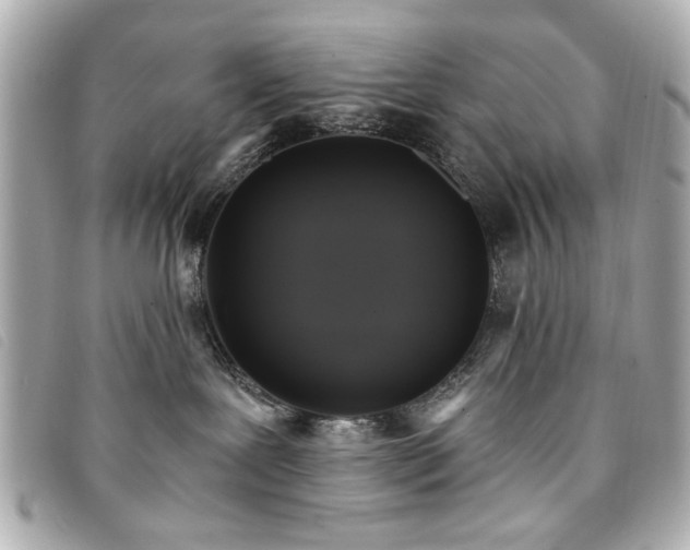X0000094210239200710261217