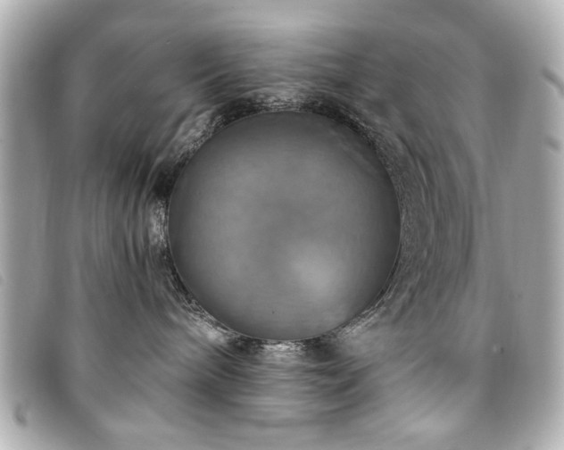 X0000094210240200710261217