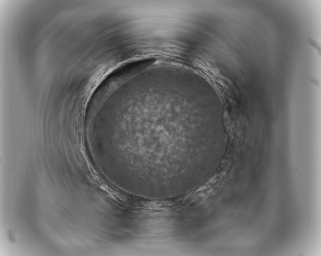 X0000094210241200710261216