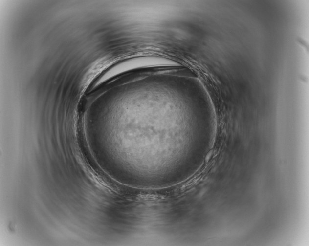 X0000094210242200710261216