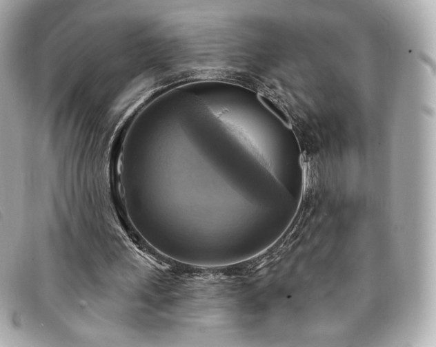 X0000094210243200710261216