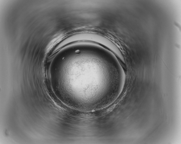 X0000094210245200710261216