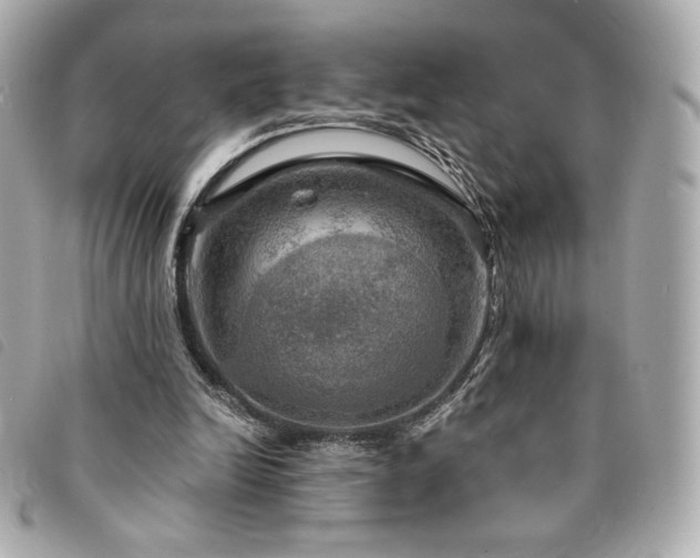 X0000094210246200710261216