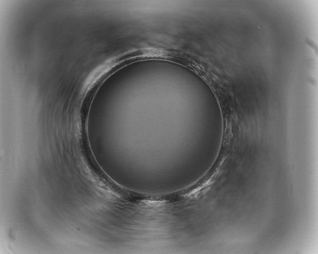 X0000094210247200710261216