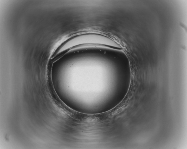 X0000094210248200710261216