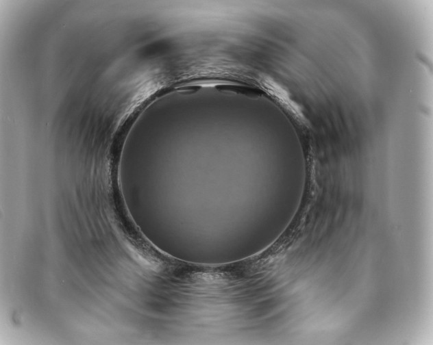 X0000094210250200710261216
