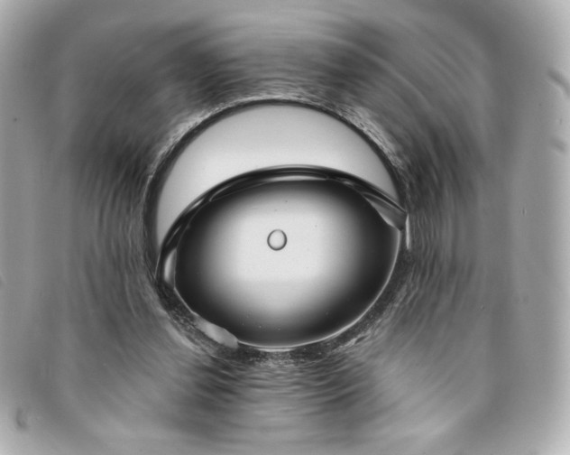 X0000094210252200710261216
