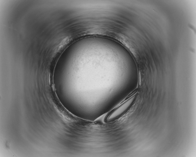 X0000094210253200710261216
