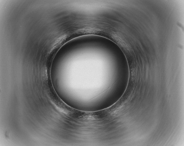 X0000094210254200710261216