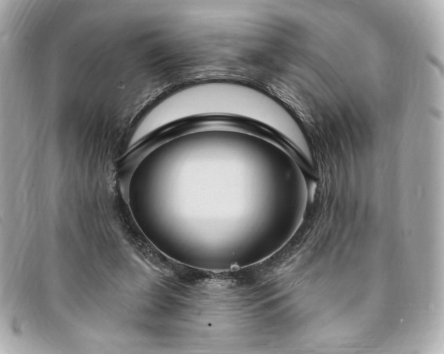 X0000094210255200710261216