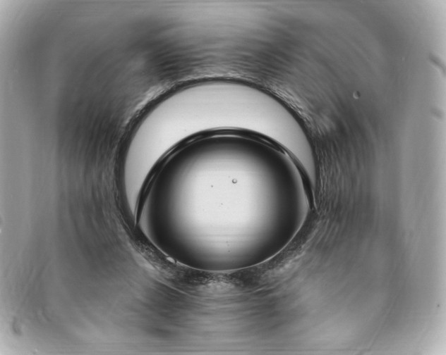 X0000094210256200710261216
