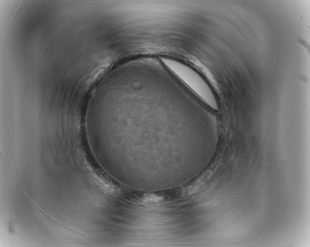 X0000094210257200710261216